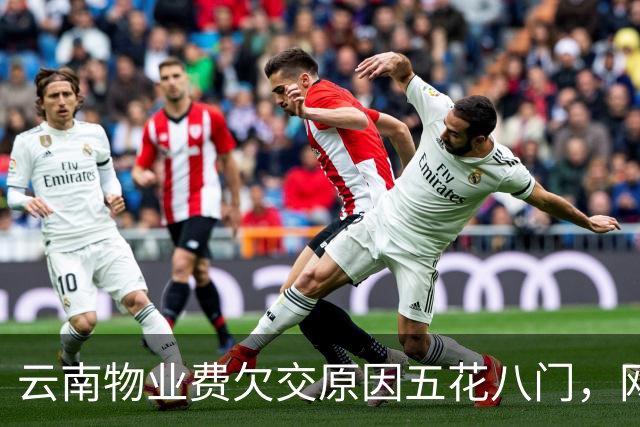 云南物业费欠交原因五花八门，网友热议各种奇葩理由
